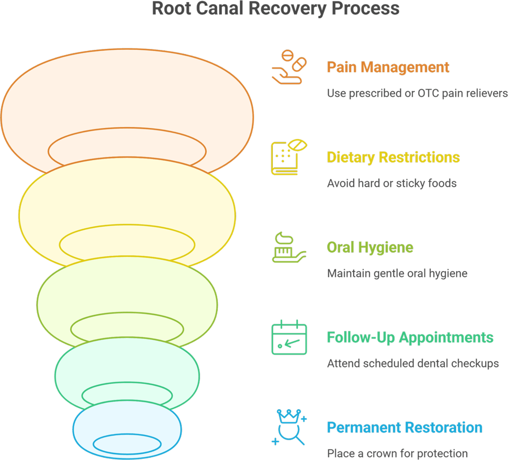 Root Canal Recovery Process