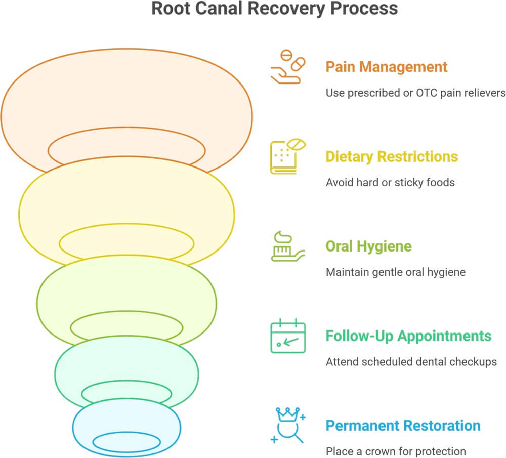Root Canal Recovery Process